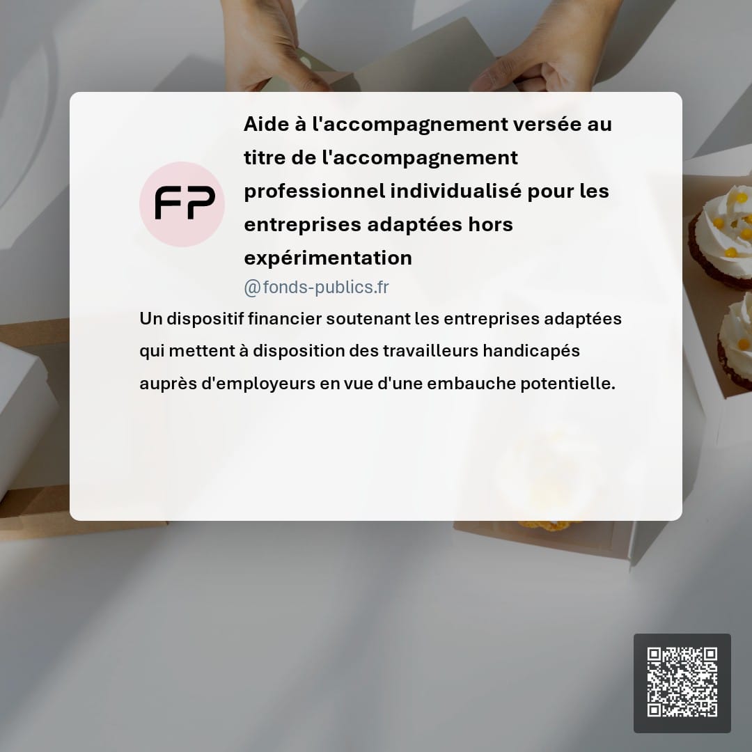 Aide à l'accompagnement versée au titre de l'accompagnement professionnel individualisé pour les entreprises adaptées hors expérimentation : Un dispositif financier soutenant les entreprises adaptées qui mettent à disposition des travailleurs handicapés auprès d'employeurs en vue d'une embauche potentielle.
