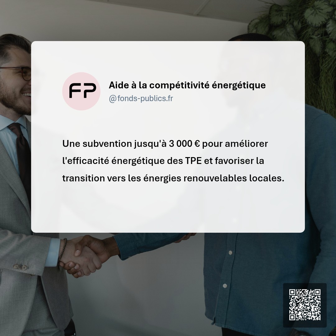 Aide à la compétitivité énergétique : Une subvention jusqu'à 3 000 € pour améliorer l'efficacité énergétique des TPE et favoriser la transition vers les énergies renouvelables locales.