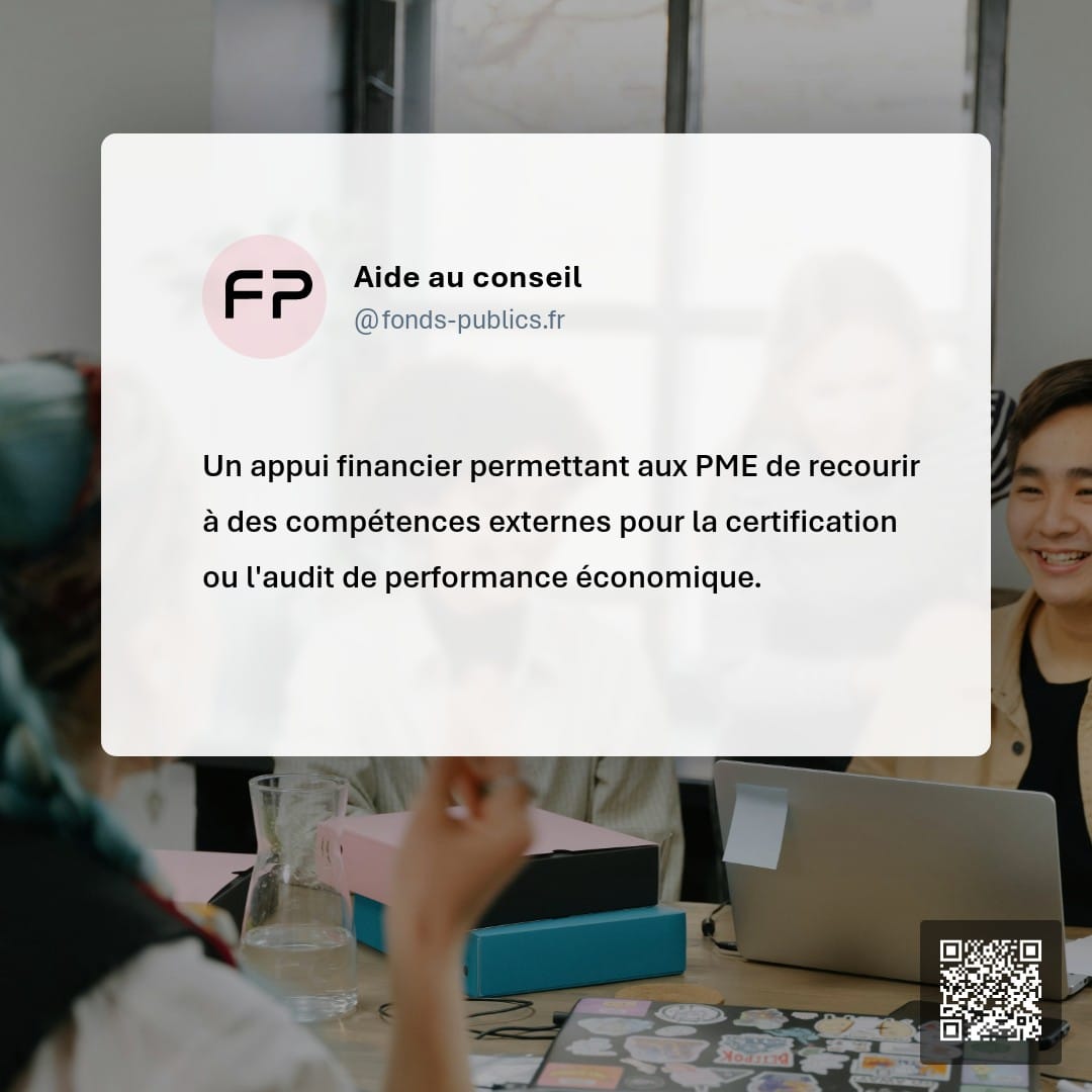 Aide au conseil : Un appui financier permettant aux PME de recourir à des compétences externes pour la certification ou l'audit de performance économique.