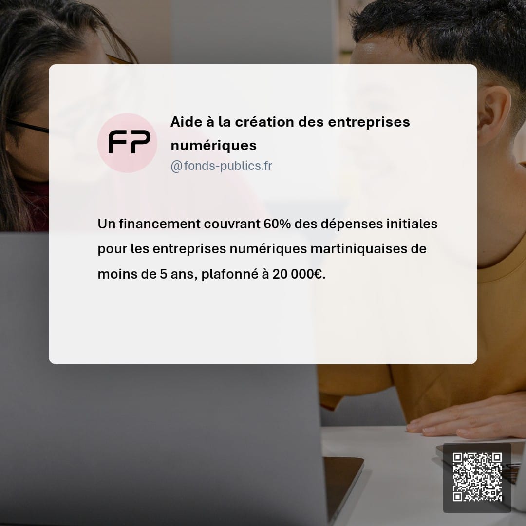 Aide à la création des entreprises numériques : Un financement couvrant 60% des dépenses initiales pour les entreprises numériques martiniquaises de moins de 5 ans