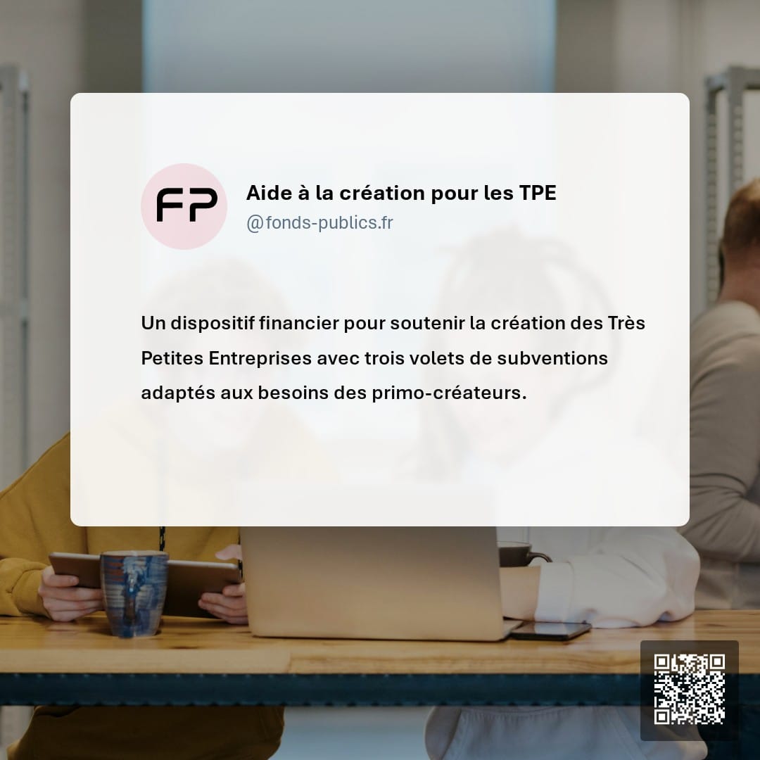 Aide à la création pour les TPE : Un dispositif financier pour soutenir la création des Très Petites Entreprises avec trois volets de subventions adaptés aux besoins des primo-créateurs.