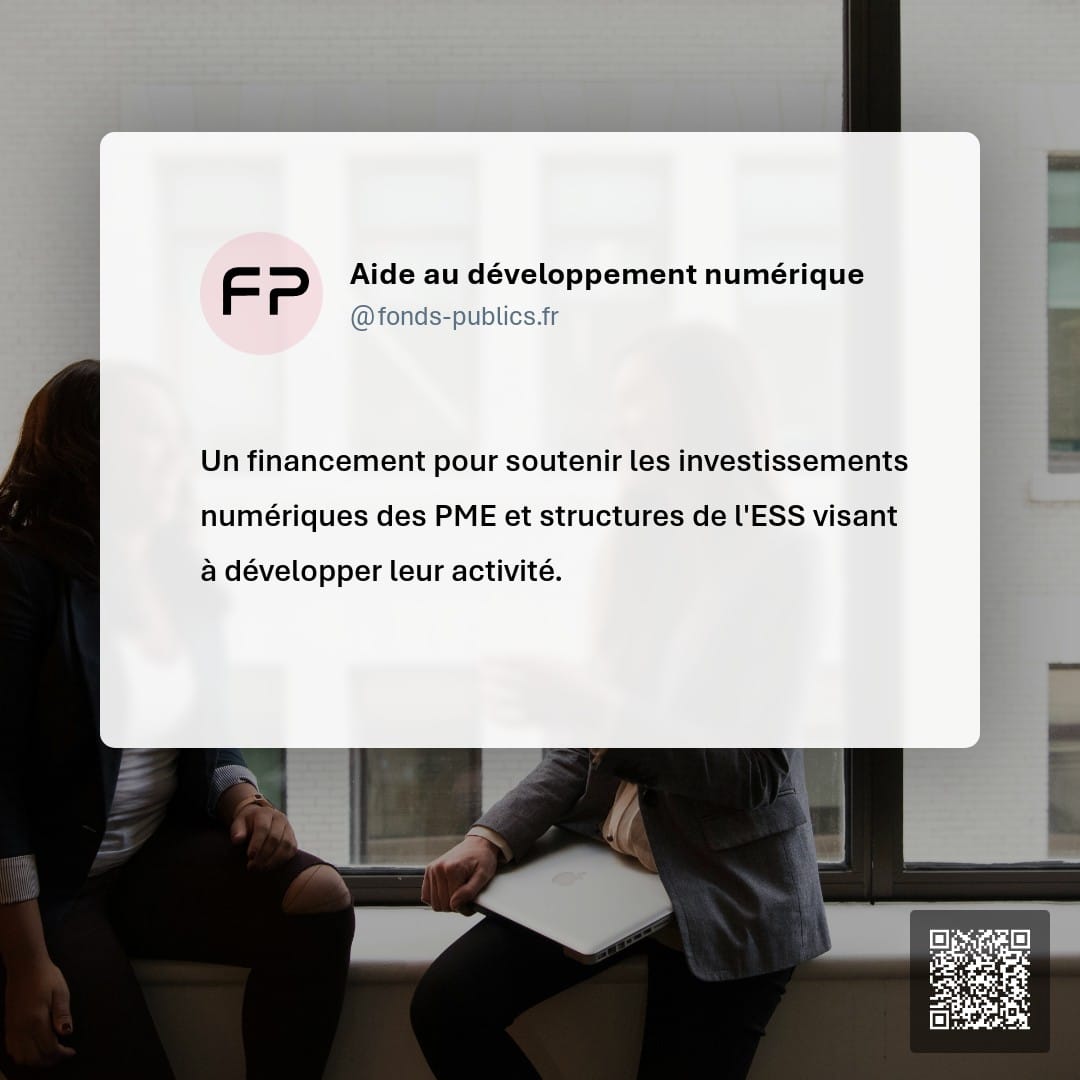 Aide au développement numérique : Un financement pour soutenir les investissements numériques des PME et structures de l'ESS visant à développer leur activité.