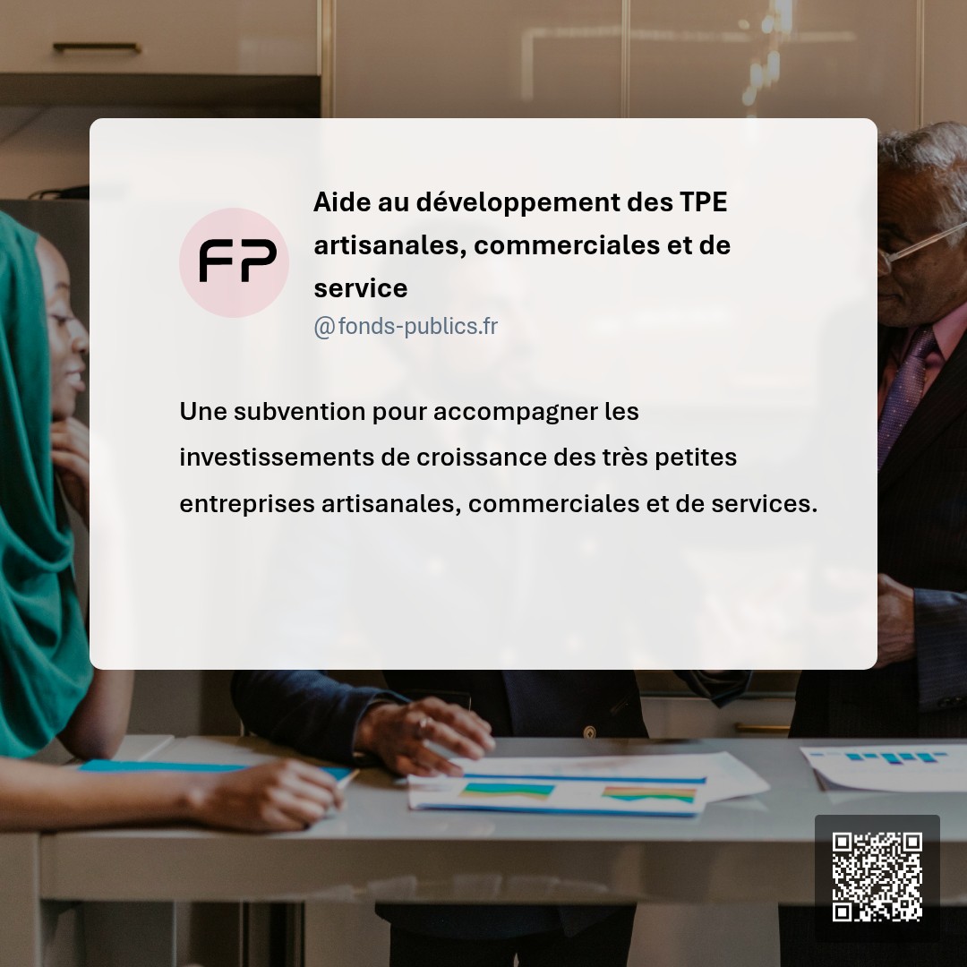 Aide au développement des TPE artisanales