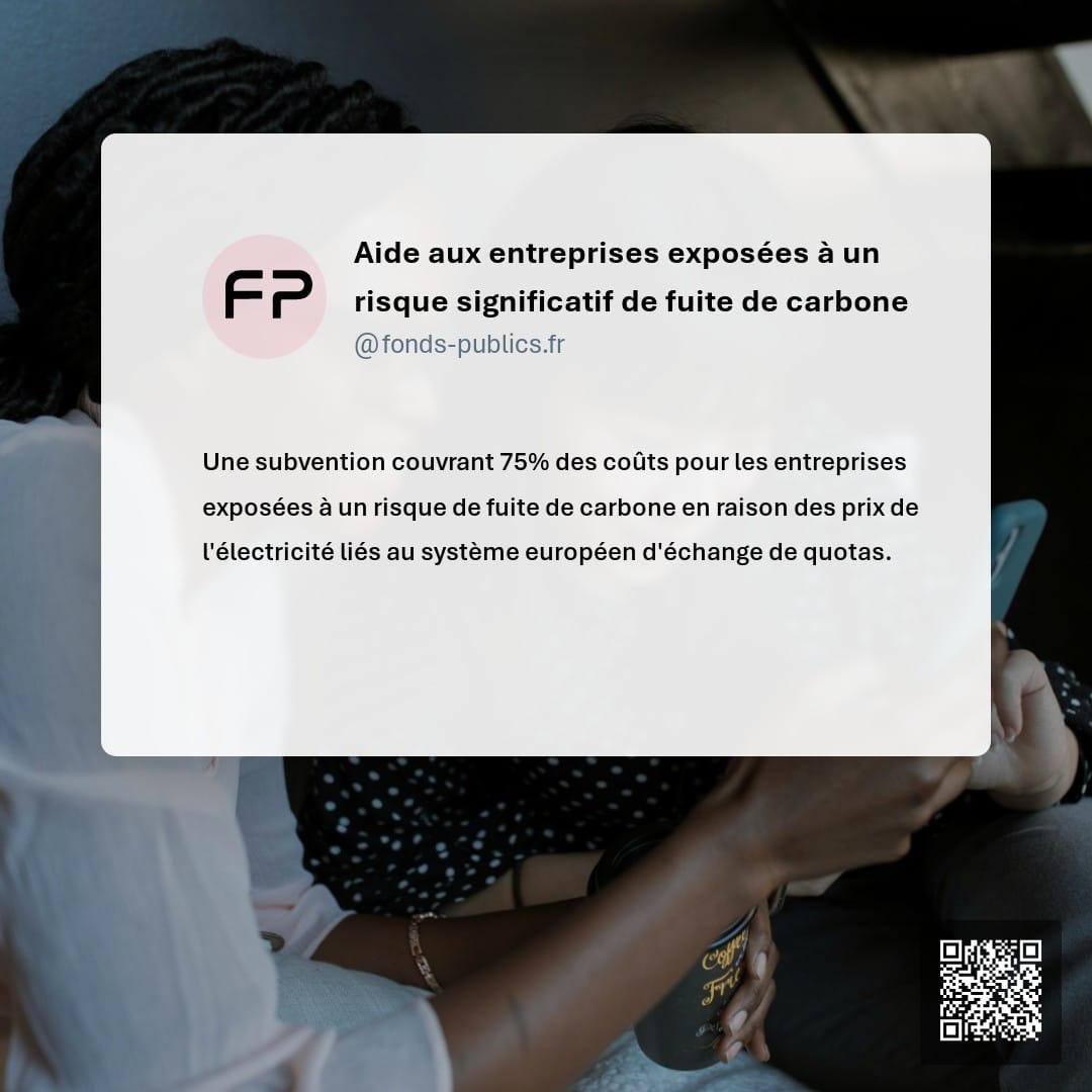 Aide aux entreprises exposées à un risque significatif de fuite de carbone : Une subvention couvrant 75% des coûts pour les entreprises exposées à un risque de fuite de carbone en raison des prix de l'électricité liés au système européen d'échange de quotas.