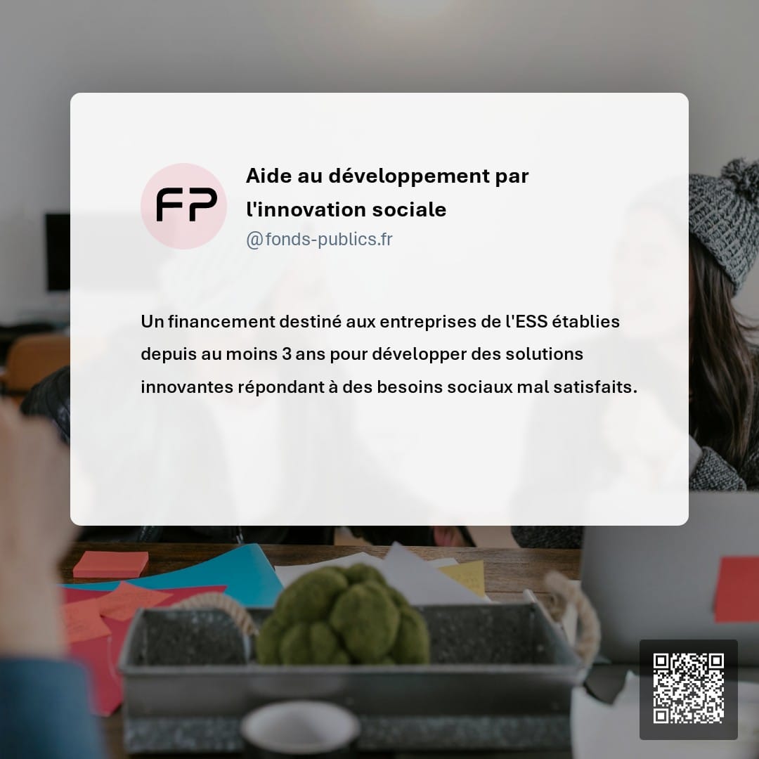 Aide au développement par l'innovation sociale : Un financement destiné aux entreprises de l'ESS établies depuis au moins 3 ans pour développer des solutions innovantes répondant à des besoins sociaux mal satisfaits.