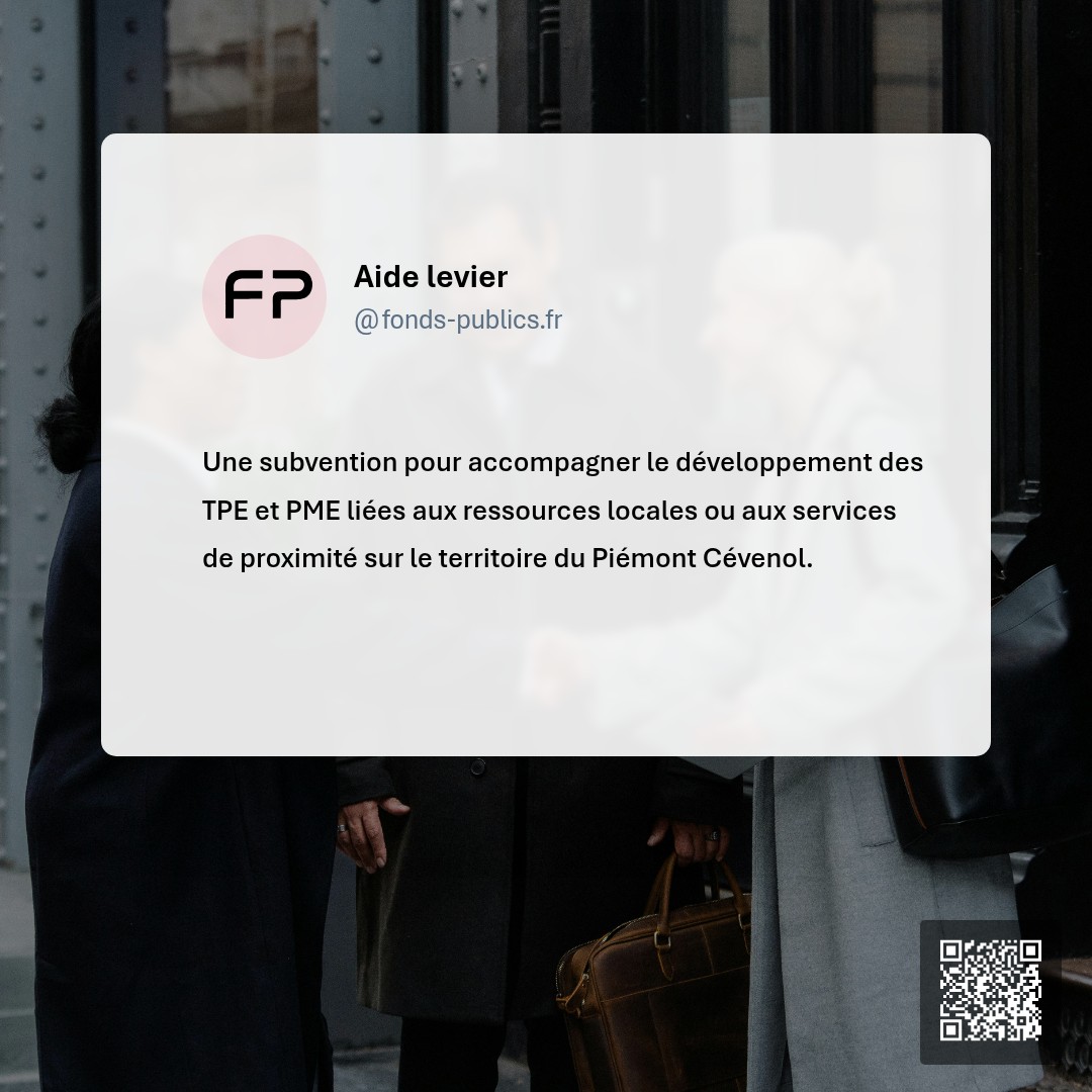 Aide levier : Une subvention pour accompagner le développement des TPE et PME liées aux ressources locales ou aux services de proximité sur le territoire du Piémont Cévenol.