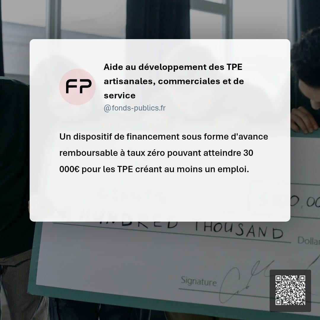 Aide au développement des TPE artisanales