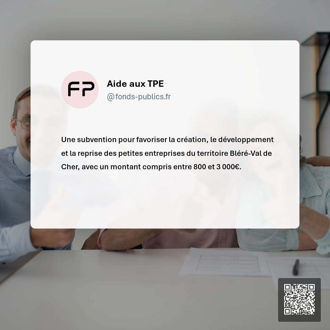 Aide aux TPE : Une subvention pour favoriser la création