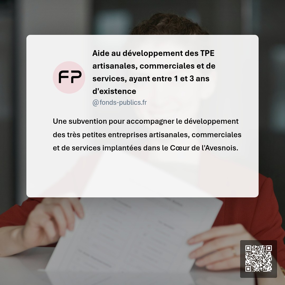 Aide au développement des TPE artisanales