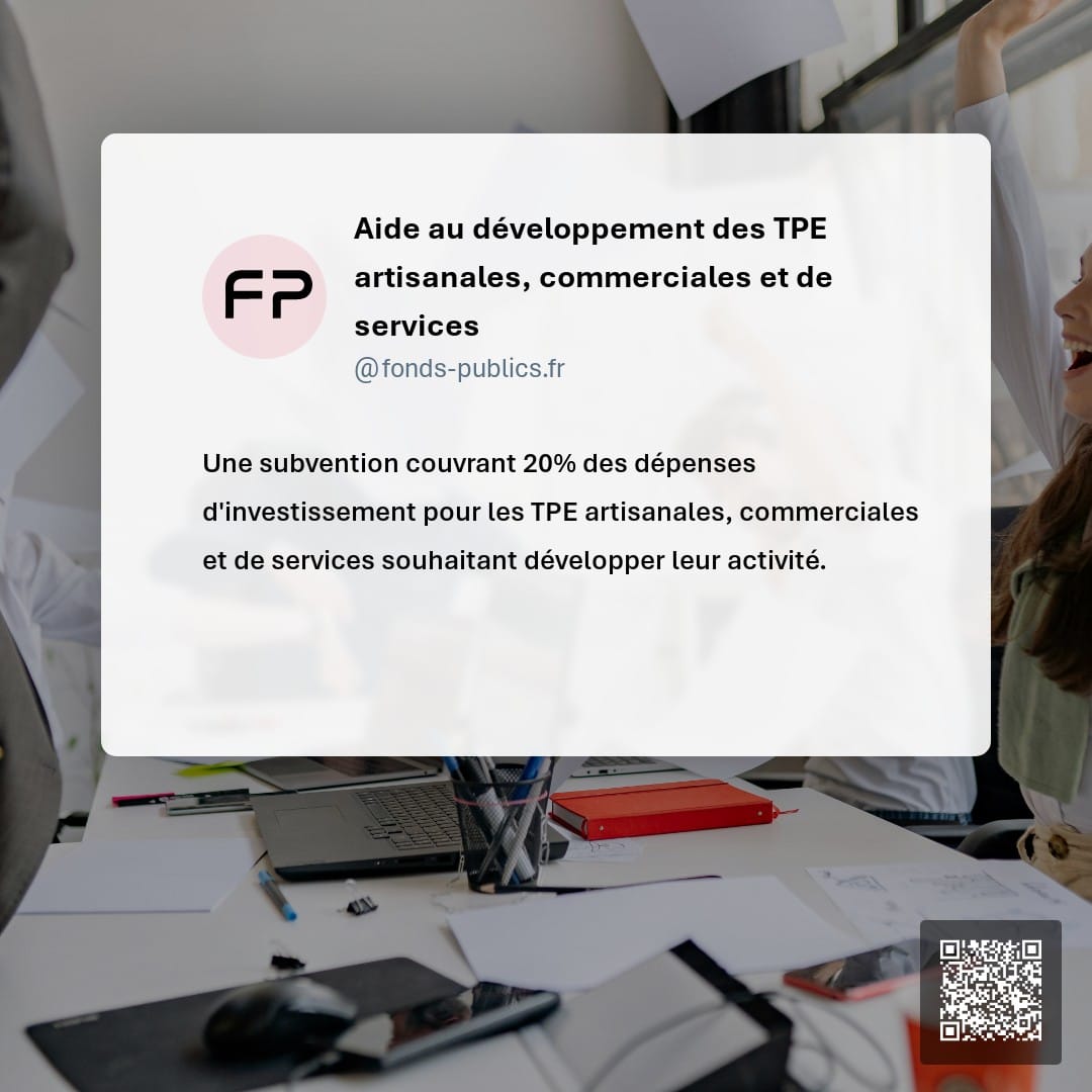 Aide au développement des TPE artisanales