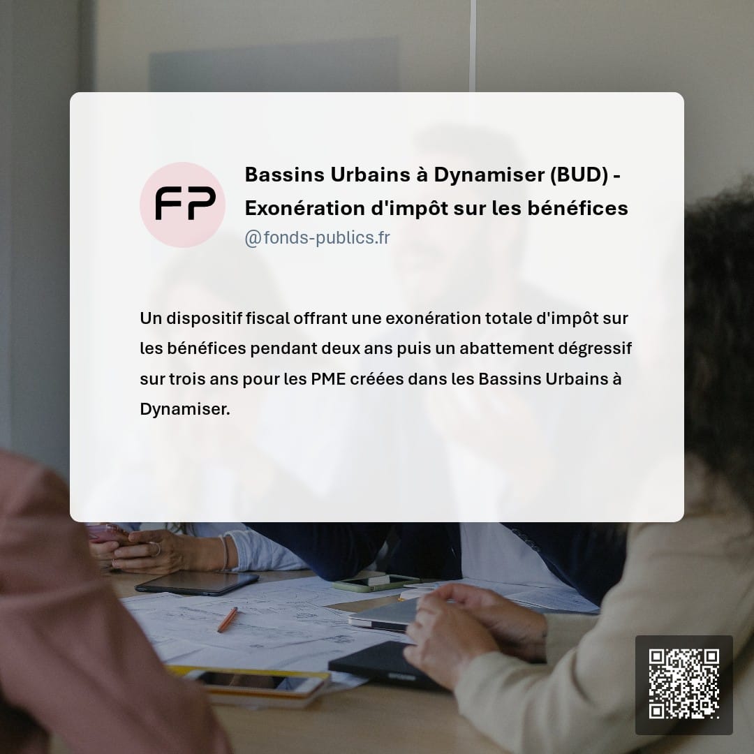 Bassins Urbains à Dynamiser (BUD) - Exonération d'impôt sur les bénéfices : Un dispositif fiscal offrant une exonération totale d'impôt sur les bénéfices pendant deux ans puis un abattement dégressif sur trois ans pour les PME créées dans les Bassins Urbains à Dynamiser.