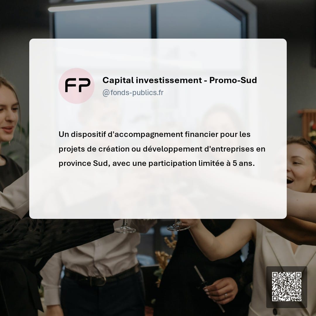 Capital investissement - Promo-Sud : Un dispositif d'accompagnement financier pour les projets de création ou développement d'entreprises en province Sud