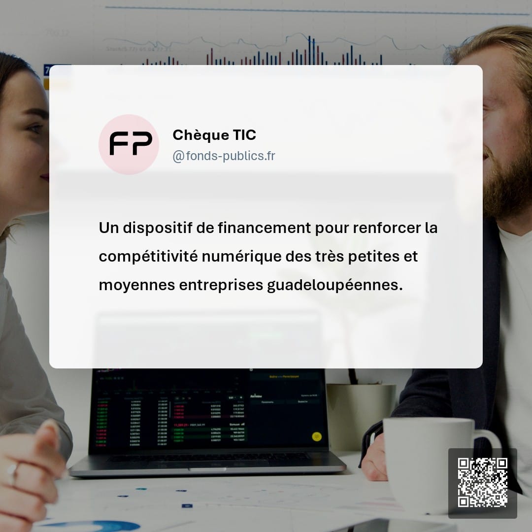 Chèque TIC : Un dispositif de financement pour renforcer la compétitivité numérique des très petites et moyennes entreprises guadeloupéennes.