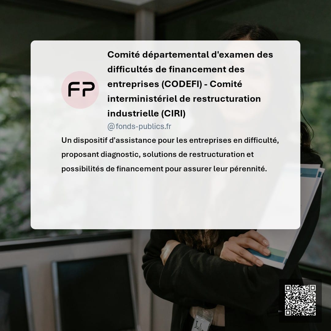 Comité départemental d'examen des difficultés de financement des entreprises (CODEFI) - Comité interministériel de restructuration industrielle (CIRI) : Un dispositif d'assistance pour les entreprises en difficulté