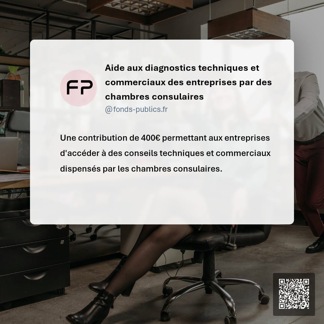 Aide aux diagnostics techniques et commerciaux des entreprises par des chambres consulaires : Une contribution de 400€ permettant aux entreprises d'accéder à des conseils techniques et commerciaux dispensés par les chambres consulaires.
