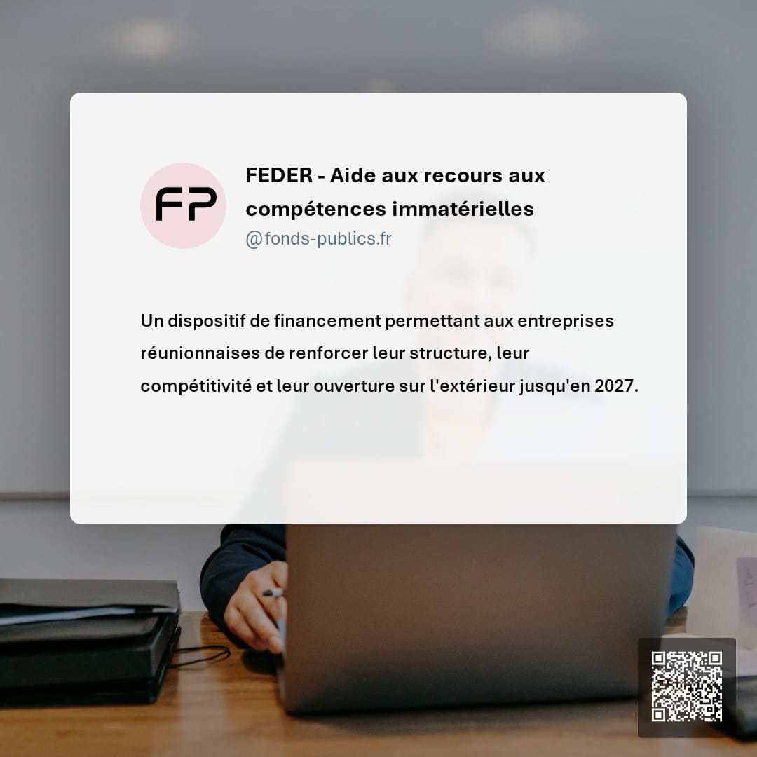 FEDER - Aide aux recours aux compétences immatérielles : Un dispositif de financement permettant aux entreprises réunionnaises de renforcer leur structure