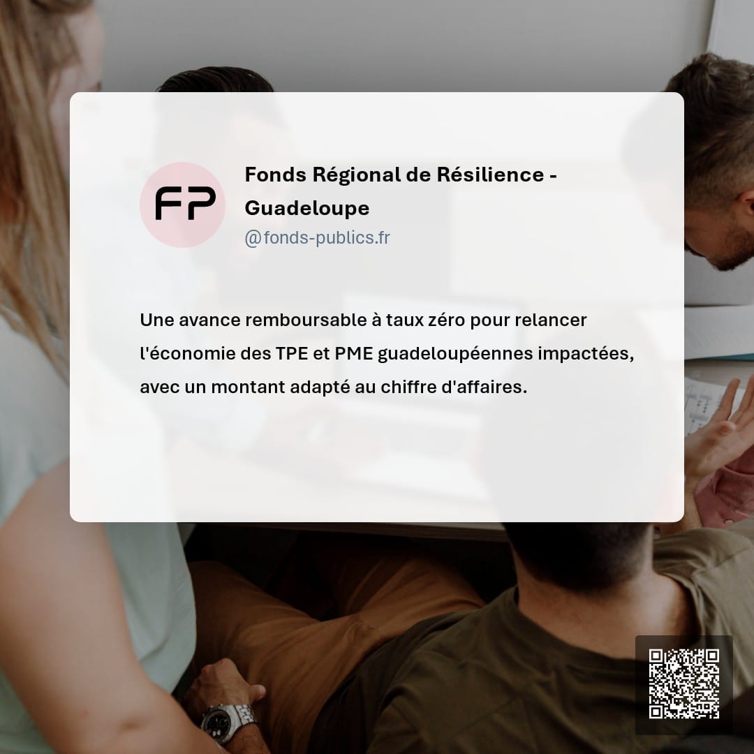 Fonds Régional de Résilience - Guadeloupe : Une avance remboursable à taux zéro pour relancer l'économie des TPE et PME guadeloupéennes impactées