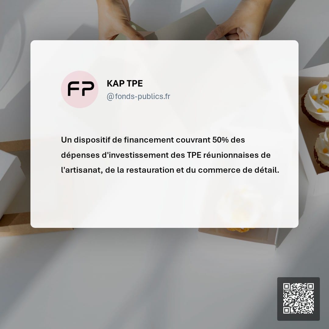 KAP TPE : Un dispositif de financement couvrant 50% des dépenses d'investissement des TPE réunionnaises de l'artisanat