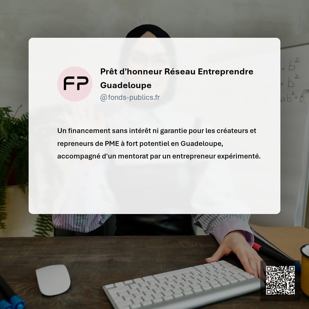 Prêt d'honneur Réseau Entreprendre Guadeloupe : Un financement sans intérêt ni garantie pour les créateurs et repreneurs de PME à fort potentiel en Guadeloupe
