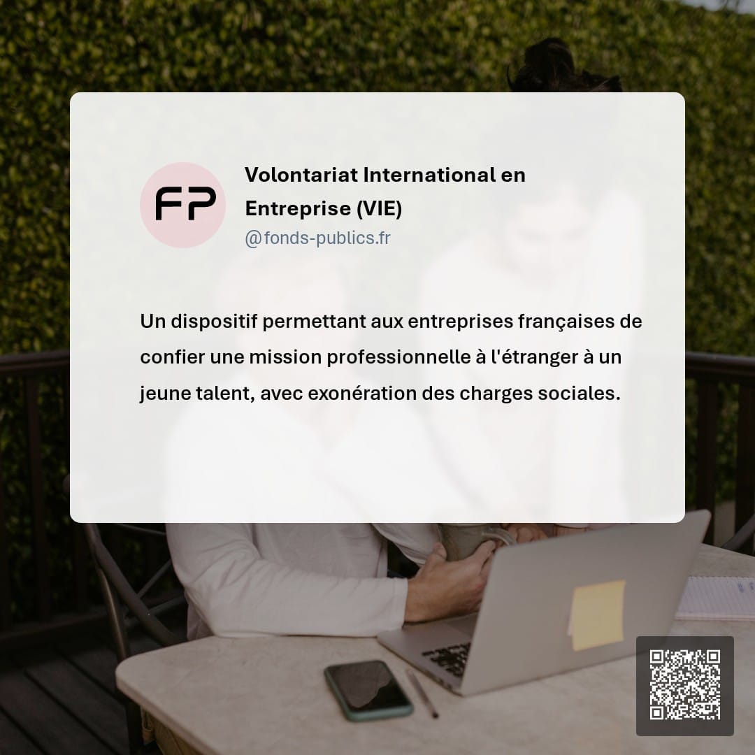 Volontariat International en Entreprise (VIE) : Un dispositif permettant aux entreprises françaises de confier une mission professionnelle à l'étranger à un jeune talent
